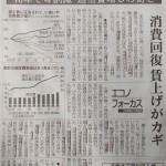 20130325_nikkei