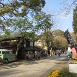 20140412_jindaiji